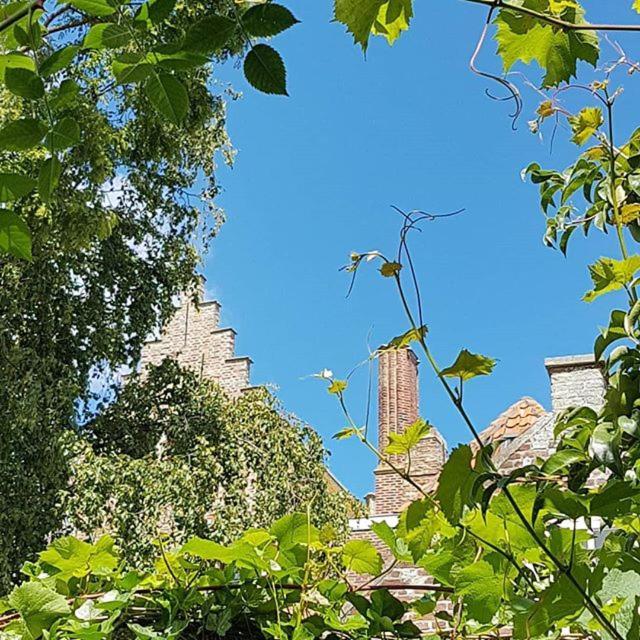 Veers Vertier Veere Esterno foto